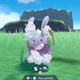 A very happy Goomy getting a shower.